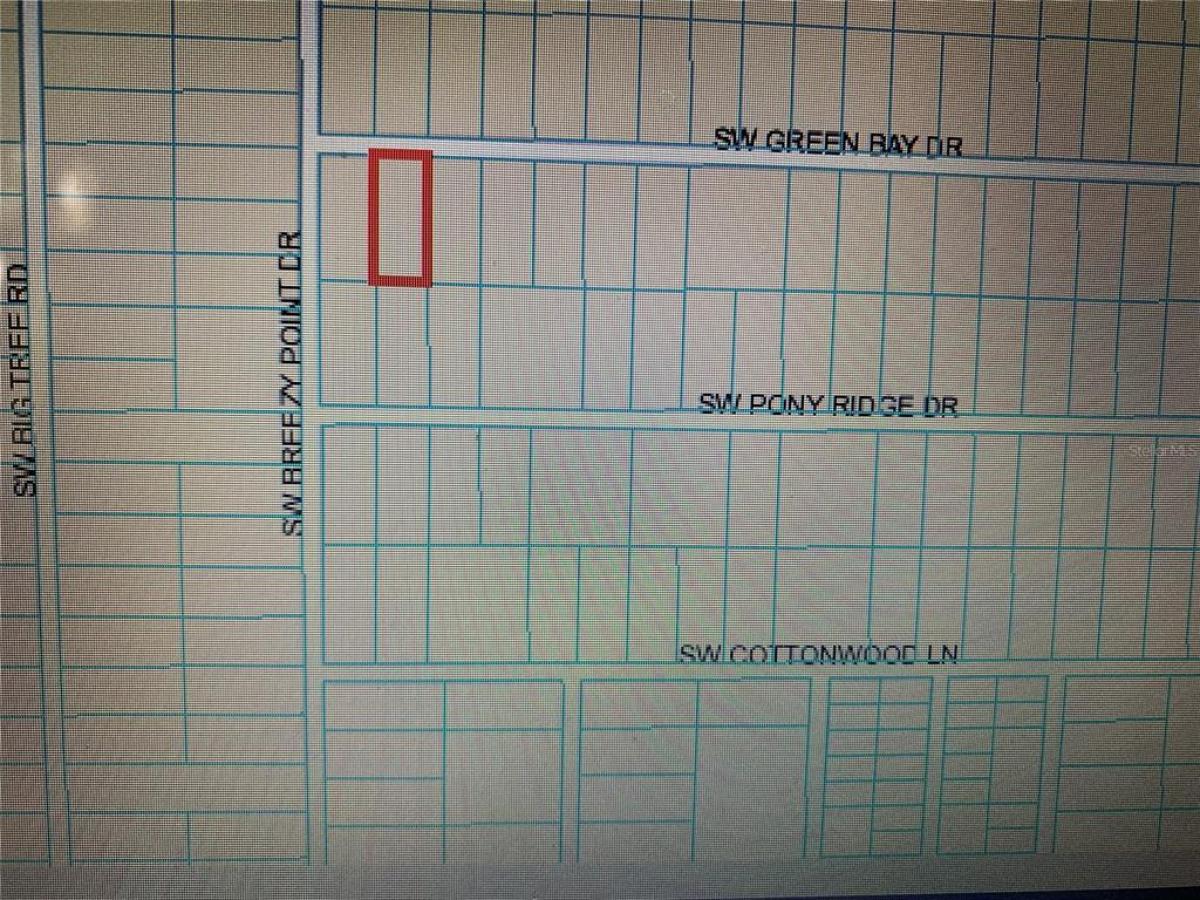 Picture of Raw Land For Sale in Dunnellon, Florida, United States