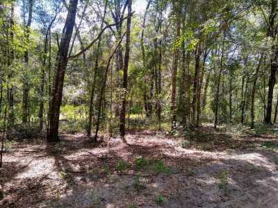 Raw Land For Sale in Archer, Florida