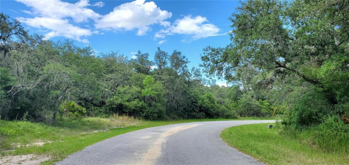 Picture of Raw Land For Sale in Poinciana, Florida, United States