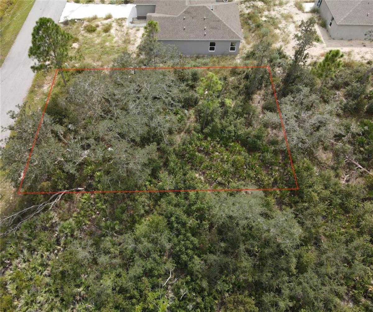 Picture of Raw Land For Sale in Poinciana, Florida, United States