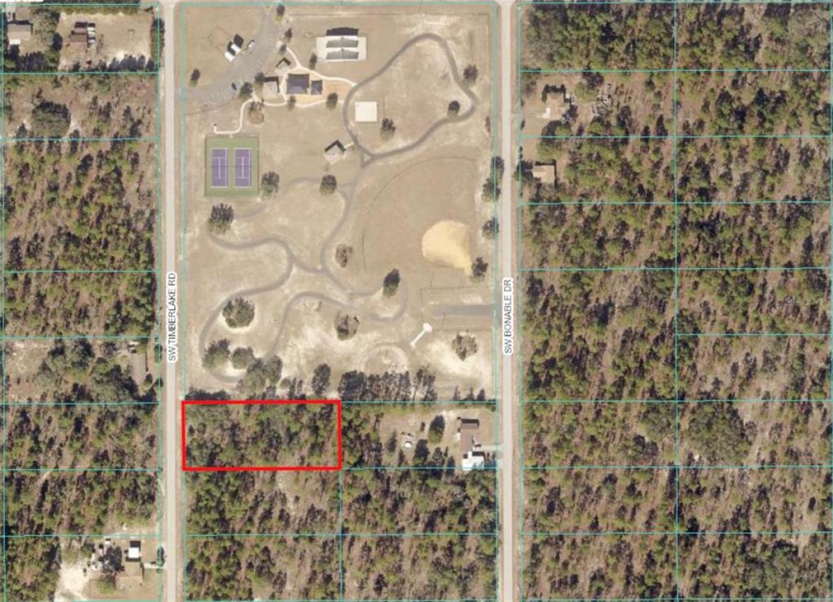 Picture of Raw Land For Sale in Dunnellon, Florida, United States