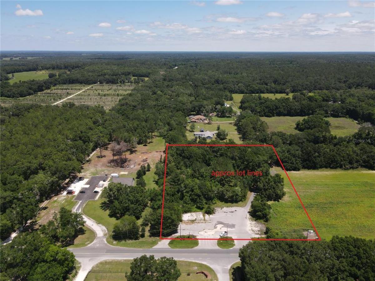 Picture of Raw Land For Sale in Gainesville, Florida, United States