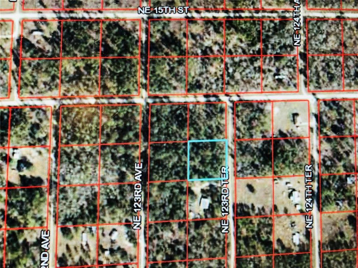 Picture of Raw Land For Sale in Williston, Florida, United States