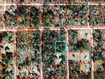 Raw Land For Sale in Williston, Florida