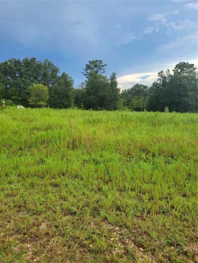 Raw Land For Sale in Ocala, Florida