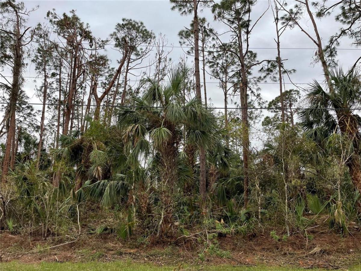 Picture of Raw Land For Sale in North Port, Florida, United States