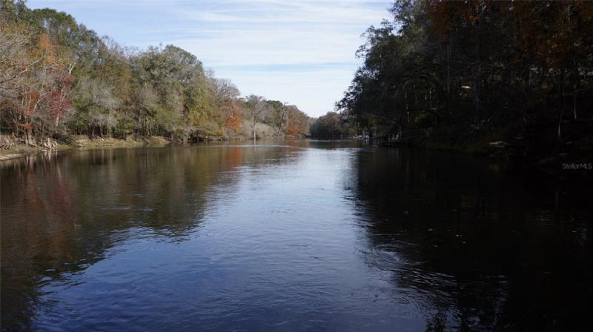 Picture of Raw Land For Sale in Branford, Florida, United States