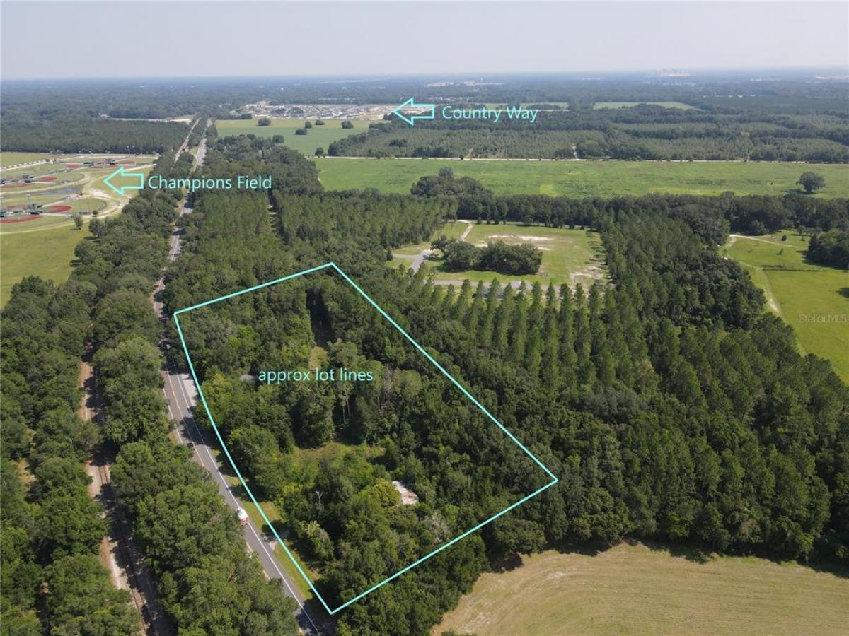 Picture of Raw Land For Sale in Newberry, Florida, United States