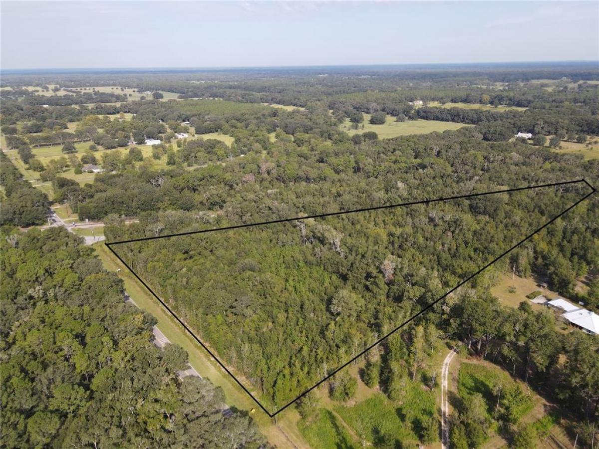 Picture of Raw Land For Sale in Alachua, Florida, United States