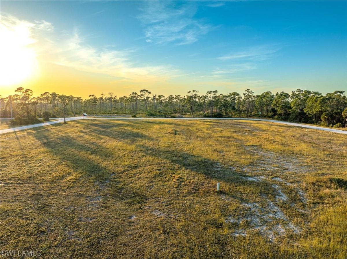 Picture of Raw Land For Sale in Cape Coral, Florida, United States