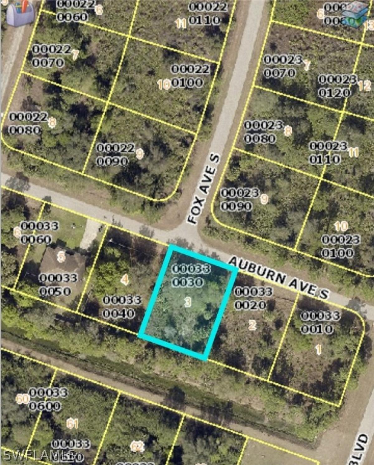 Picture of Raw Land For Sale in Lee, Florida, United States