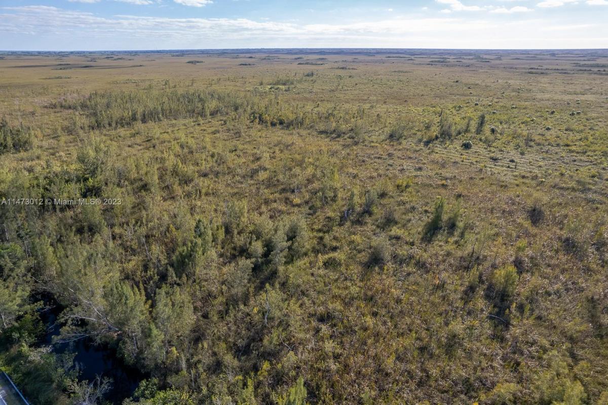 Picture of Raw Land For Sale in Homestead, Florida, United States