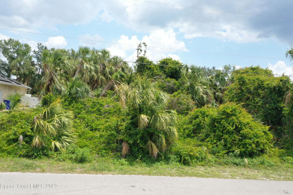 Picture of Raw Land For Sale in North Port, Florida, United States