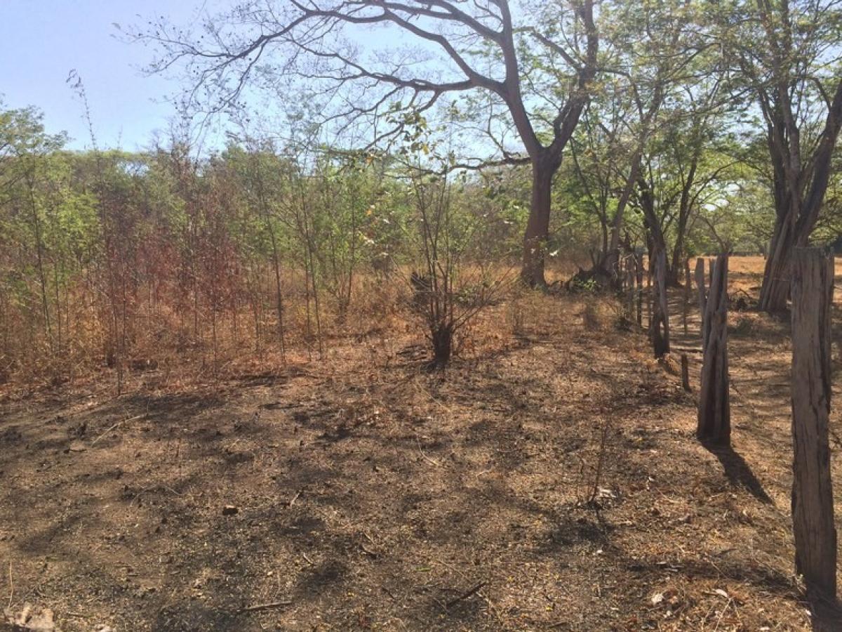 Picture of Residential Land For Sale in Carrillo, Guanacaste, Costa Rica