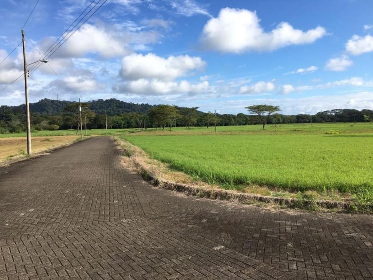 Picture of Residential Land For Sale in Garabito, Puntarenas, Costa Rica