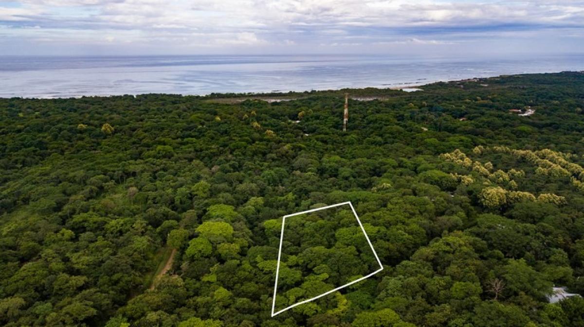 Picture of Residential Land For Sale in Santa Cruz, Guanacaste, Costa Rica