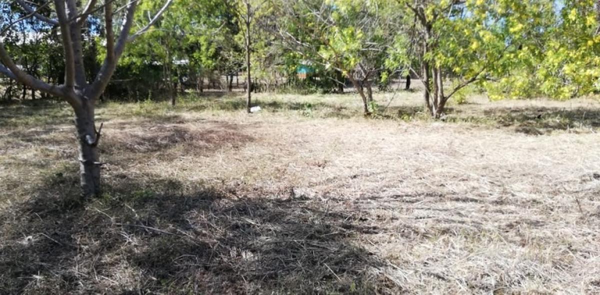 Picture of Residential Land For Sale in Carrillo, Guanacaste, Costa Rica