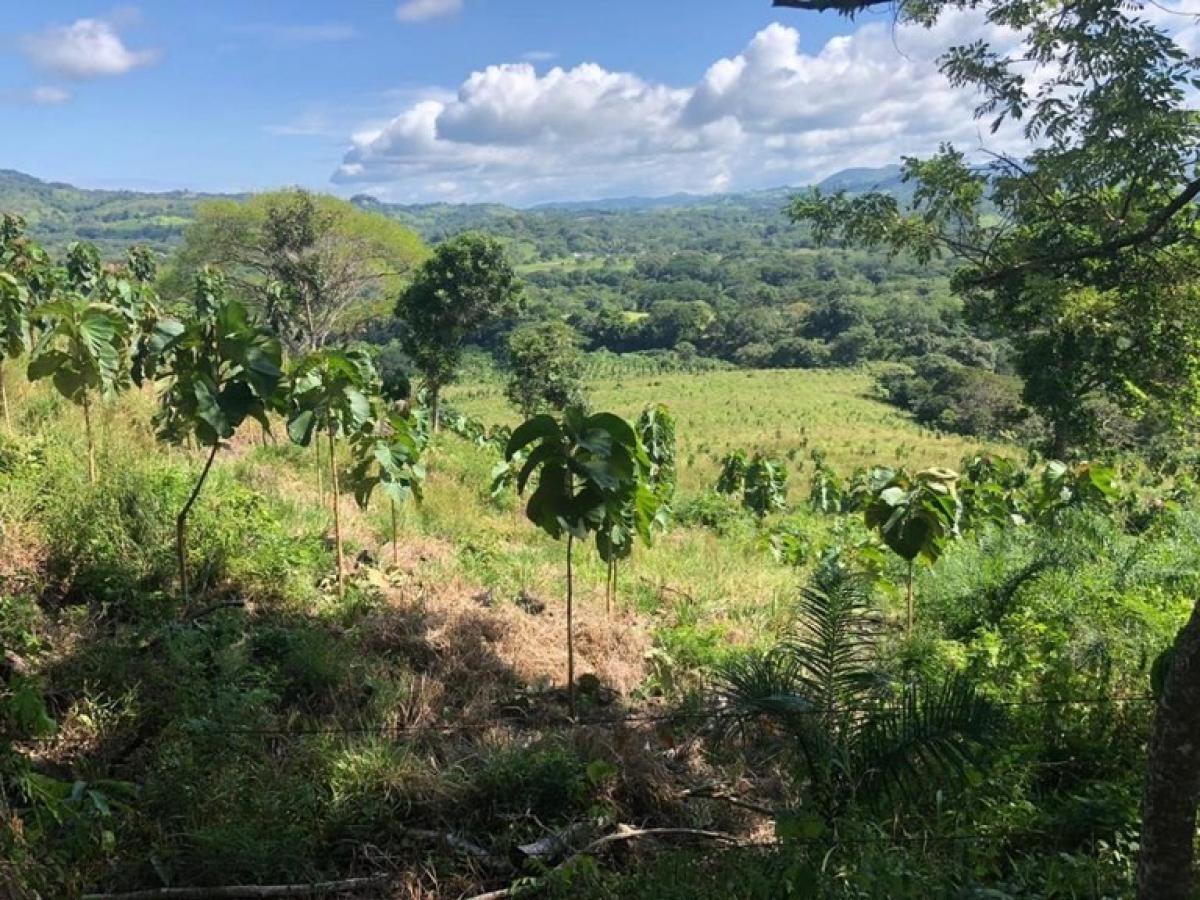 Picture of Home For Sale in La Cruz, Guanacaste, Costa Rica