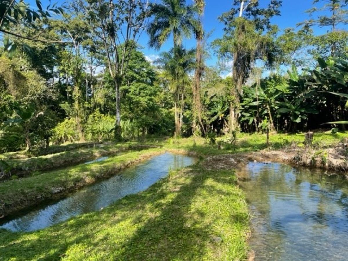 Picture of Residential Land For Sale in Upala, Alajuela, Costa Rica