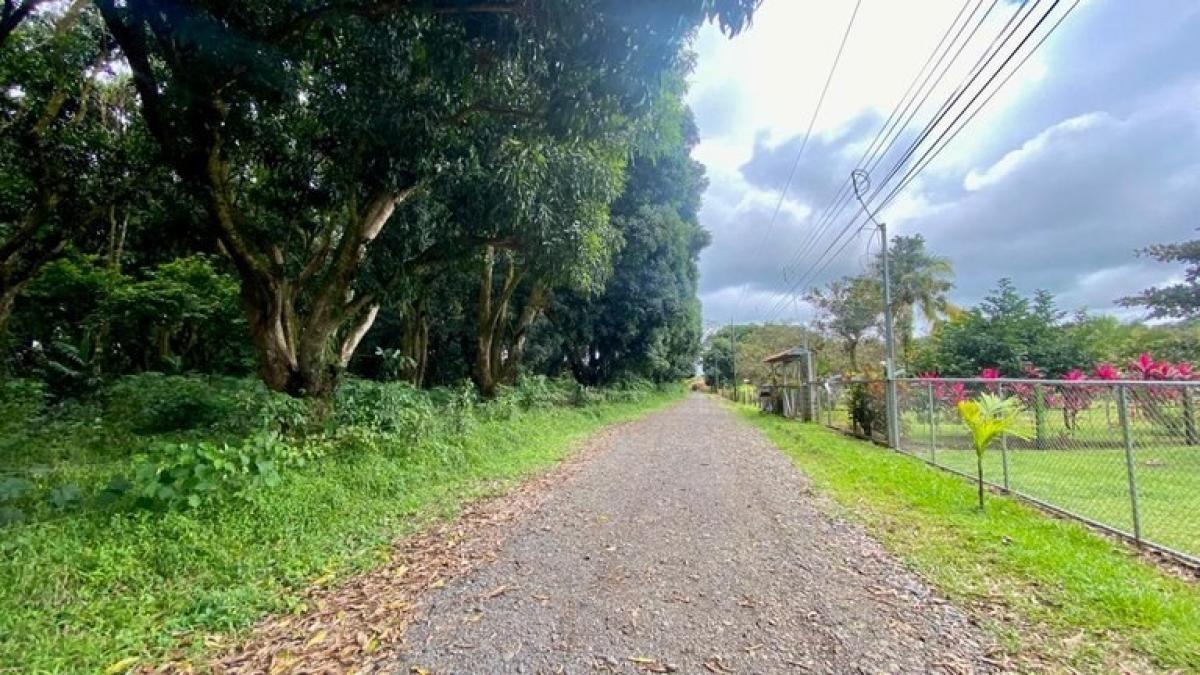 Picture of Residential Land For Sale in San Mateo, Alajuela, Costa Rica