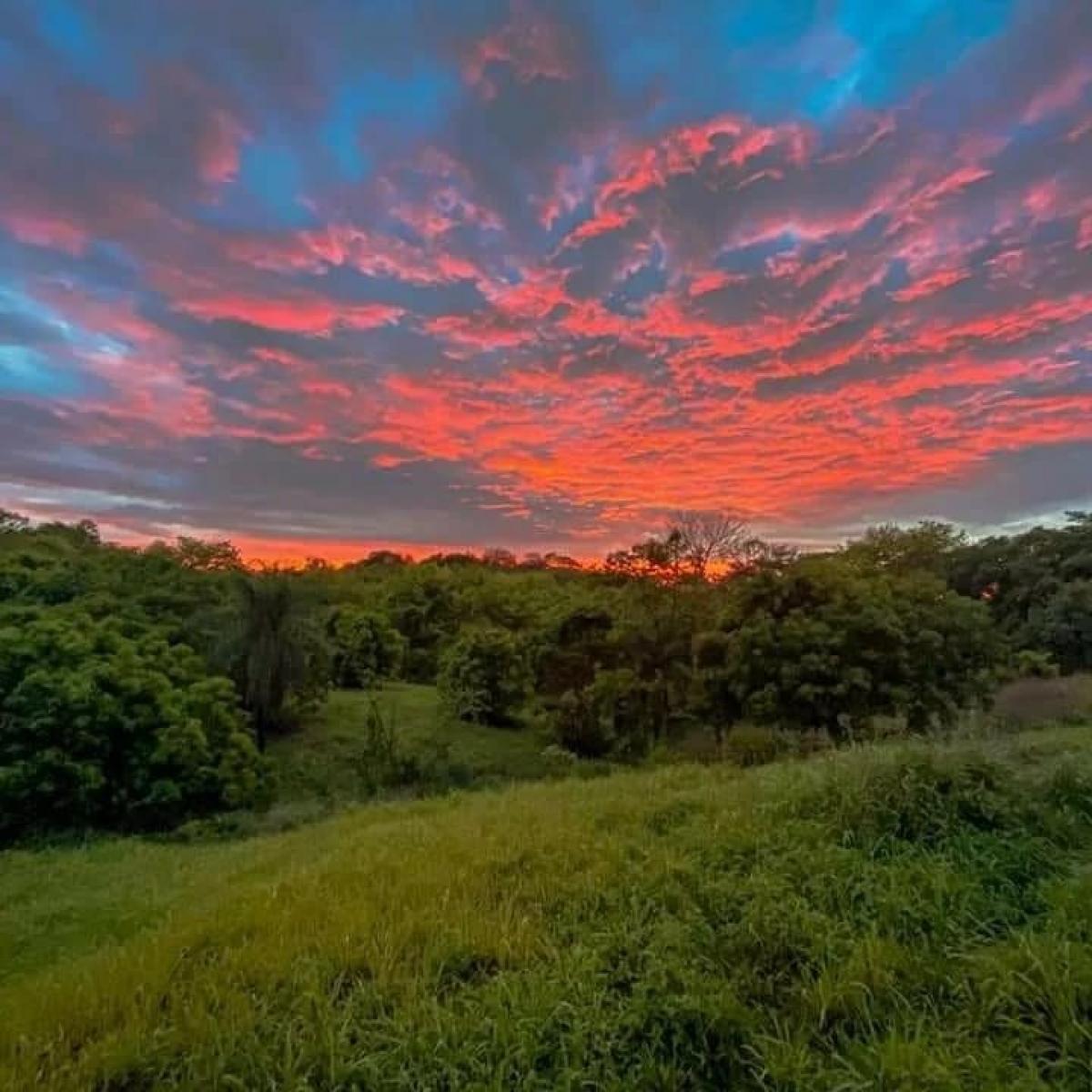 Picture of Residential Land For Sale in Garabito, Puntarenas, Costa Rica