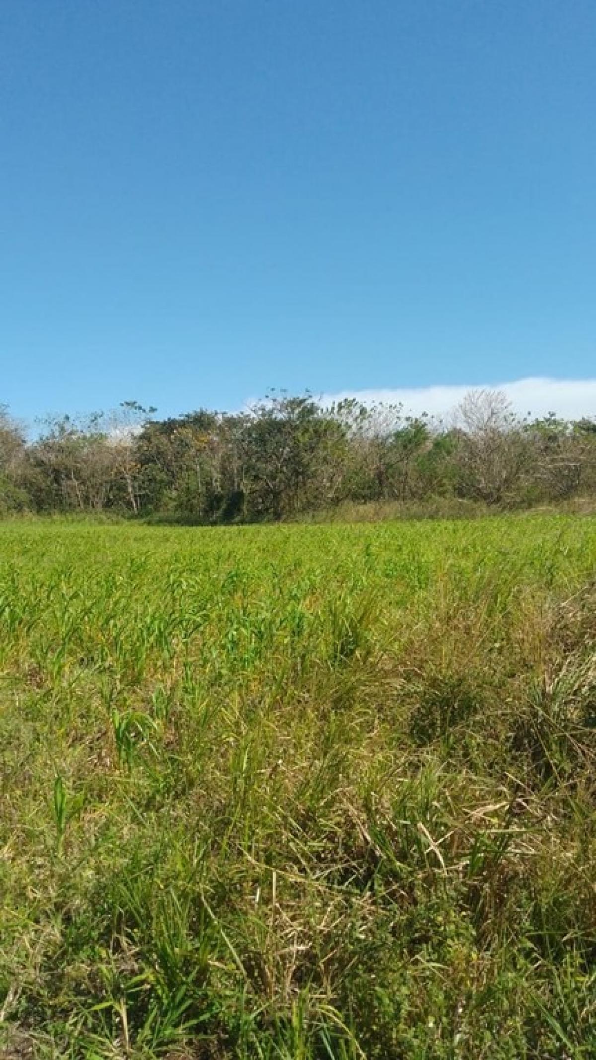 Picture of Residential Land For Sale in La Cruz, Guanacaste, Costa Rica