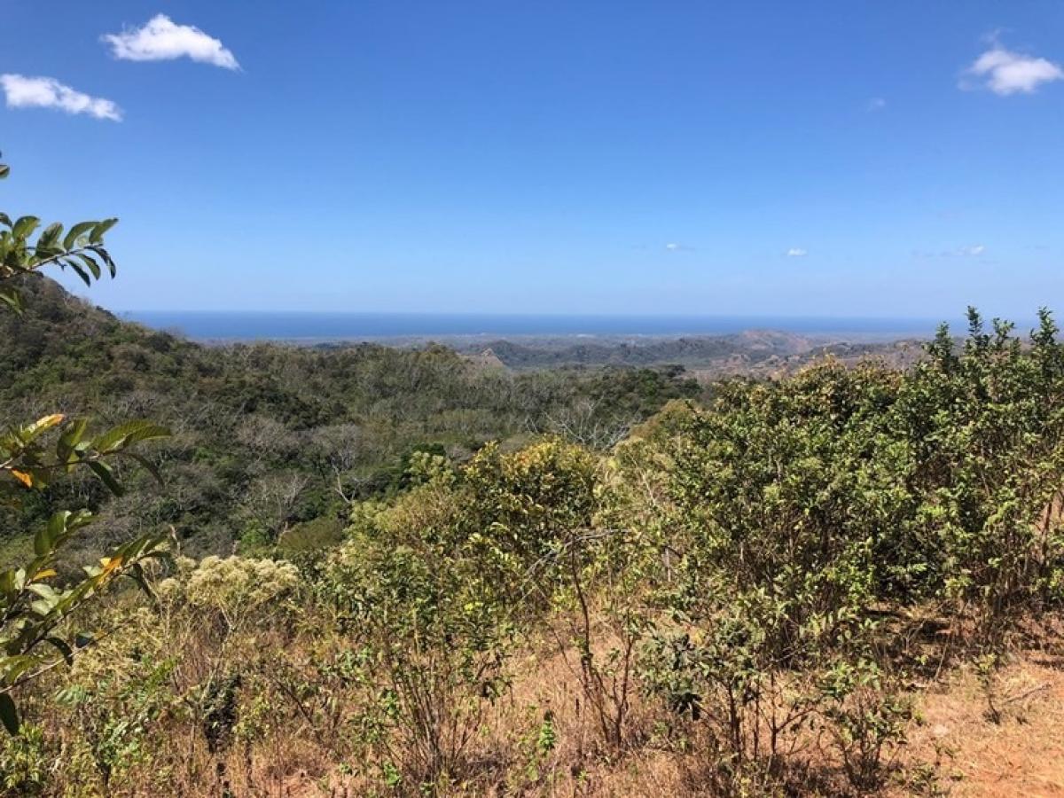 Picture of Residential Land For Sale in Santa Cruz, Guanacaste, Costa Rica