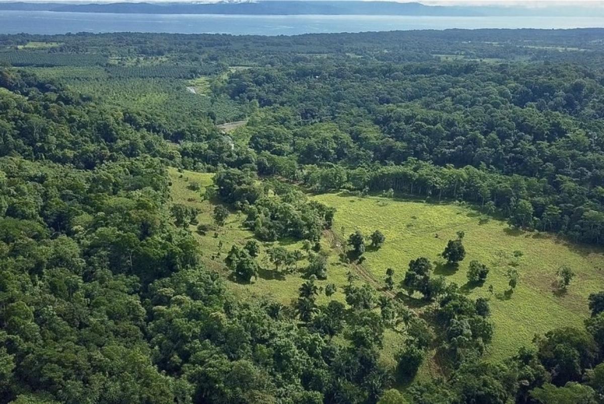 Picture of Residential Land For Sale in Garabito, Puntarenas, Costa Rica