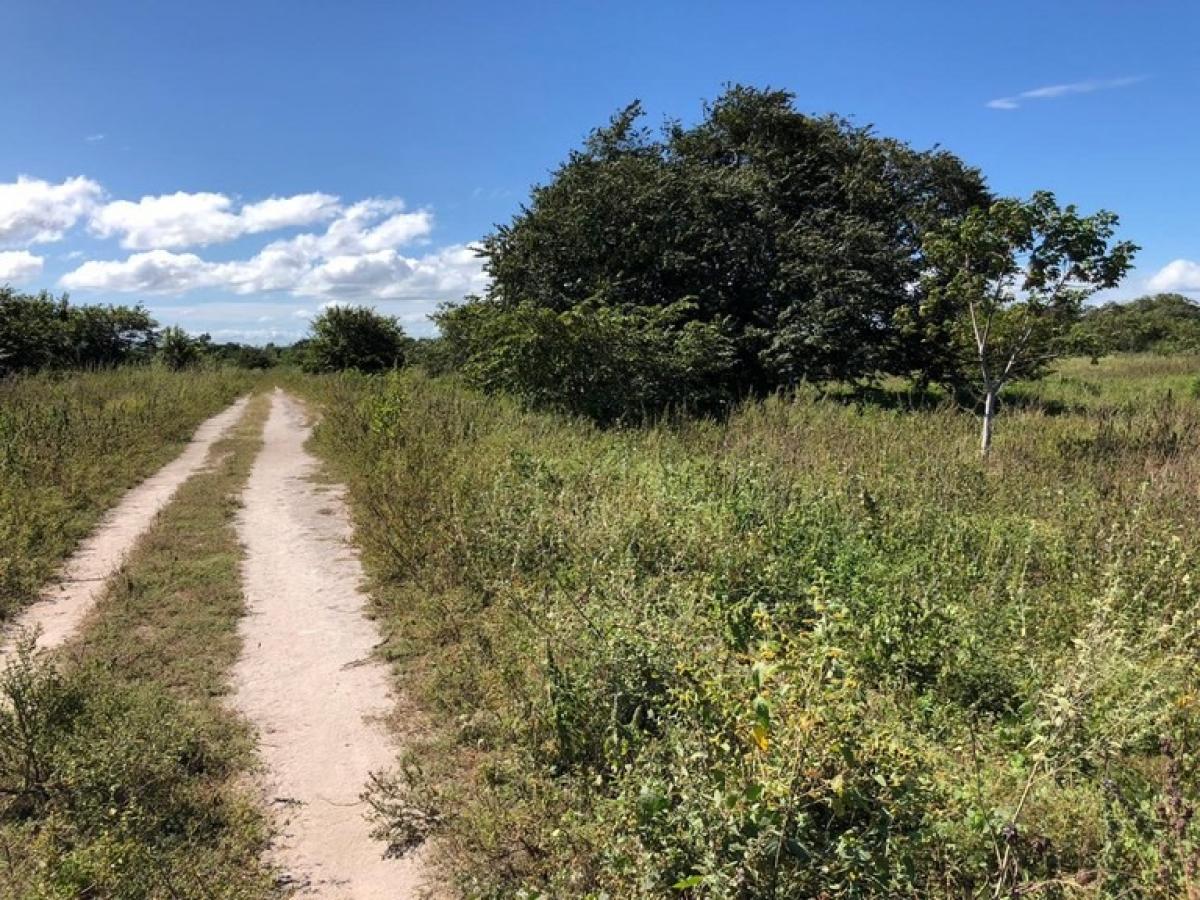 Picture of Residential Land For Sale in Liberia, Guanacaste, Costa Rica