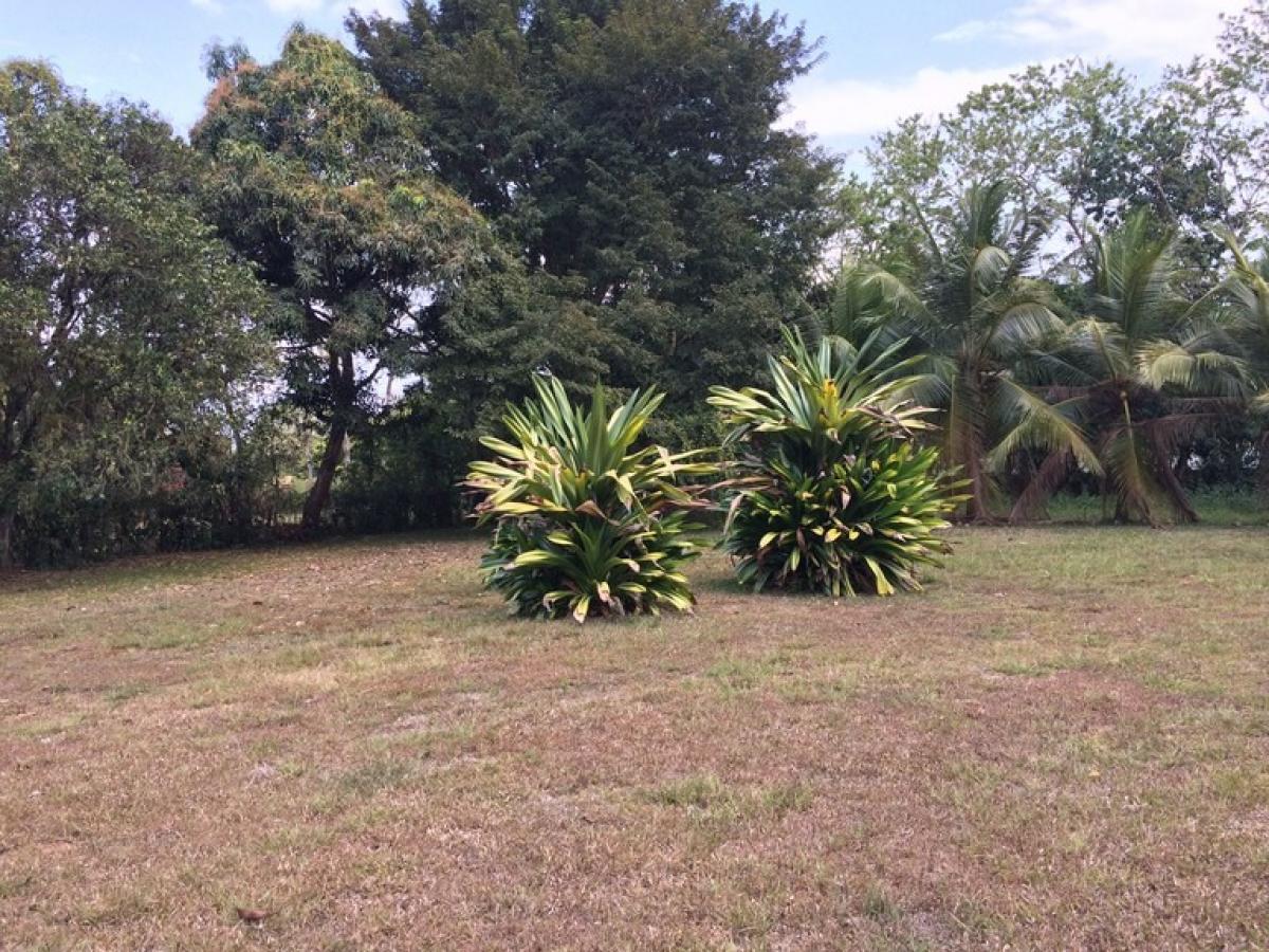 Picture of Residential Land For Sale in Los Chiles, Alajuela, Costa Rica