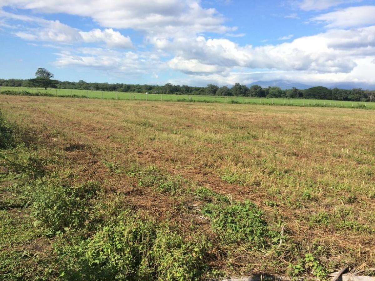 Picture of Residential Land For Sale in Liberia, Guanacaste, Costa Rica