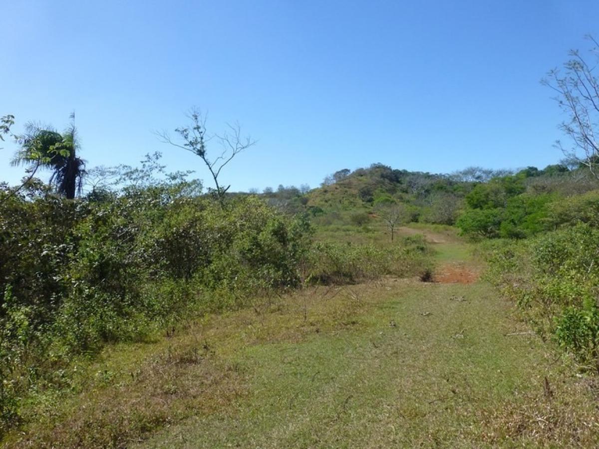 Picture of Residential Land For Sale in Santa Cruz, Guanacaste, Costa Rica