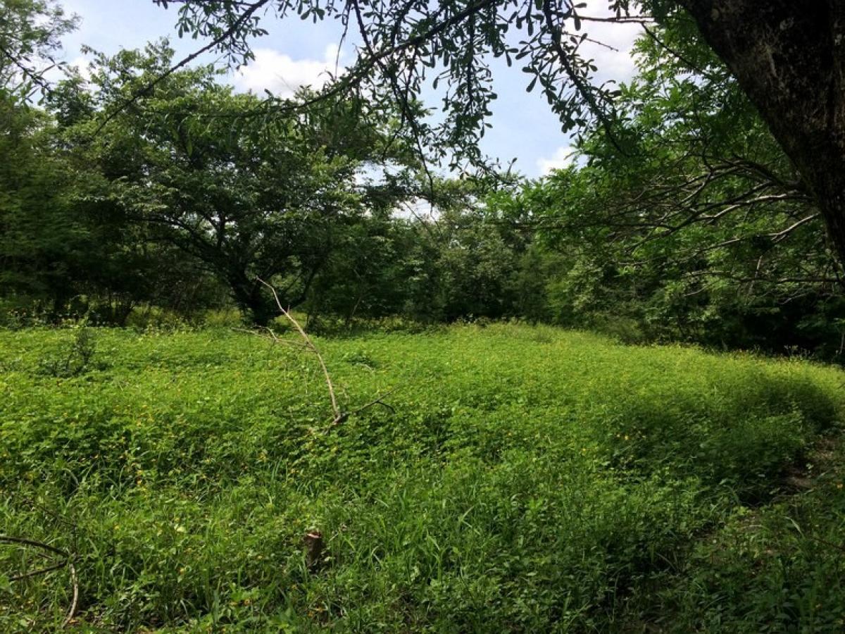 Picture of Residential Land For Sale in Liberia, Guanacaste, Costa Rica