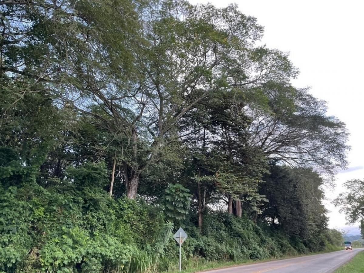 Picture of Residential Land For Sale in Abangares, Guanacaste, Costa Rica