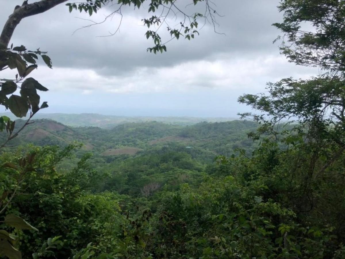 Picture of Residential Land For Sale in Santa Cruz, Guanacaste, Costa Rica