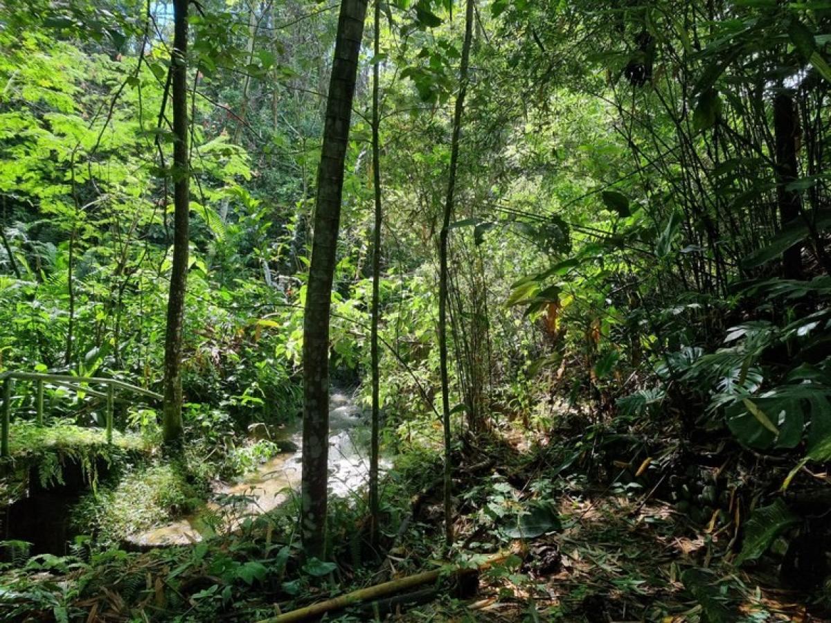 Picture of Residential Land For Sale in Escazu, San Jose, Costa Rica