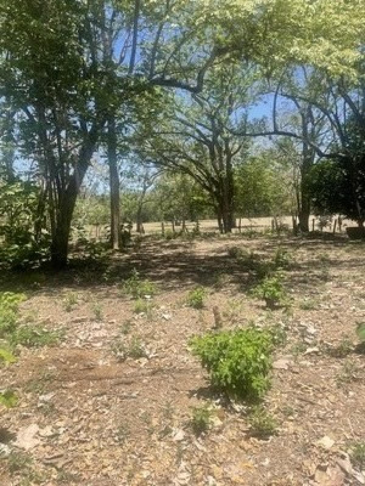 Picture of Residential Land For Sale in Santa Cruz, Guanacaste, Costa Rica