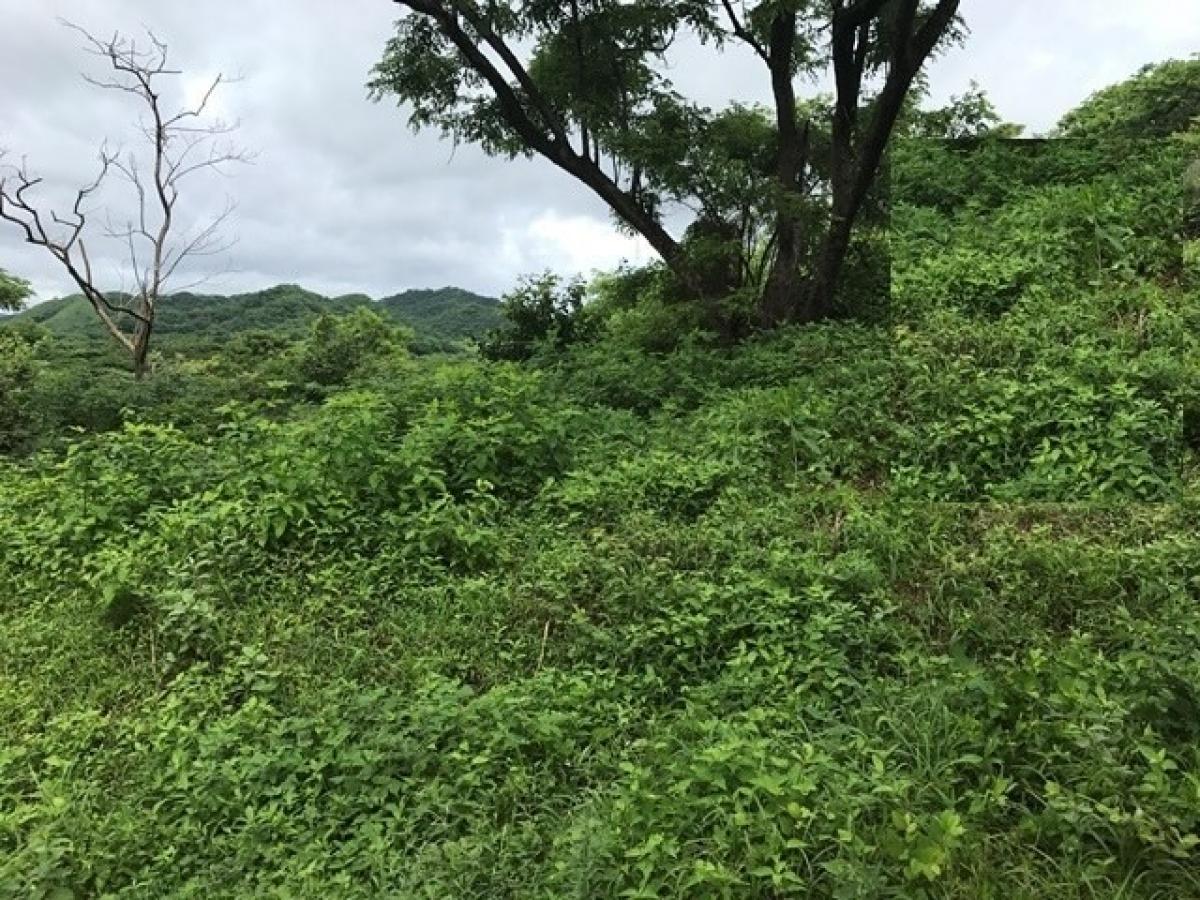 Picture of Residential Land For Sale in La Cruz, Guanacaste, Costa Rica