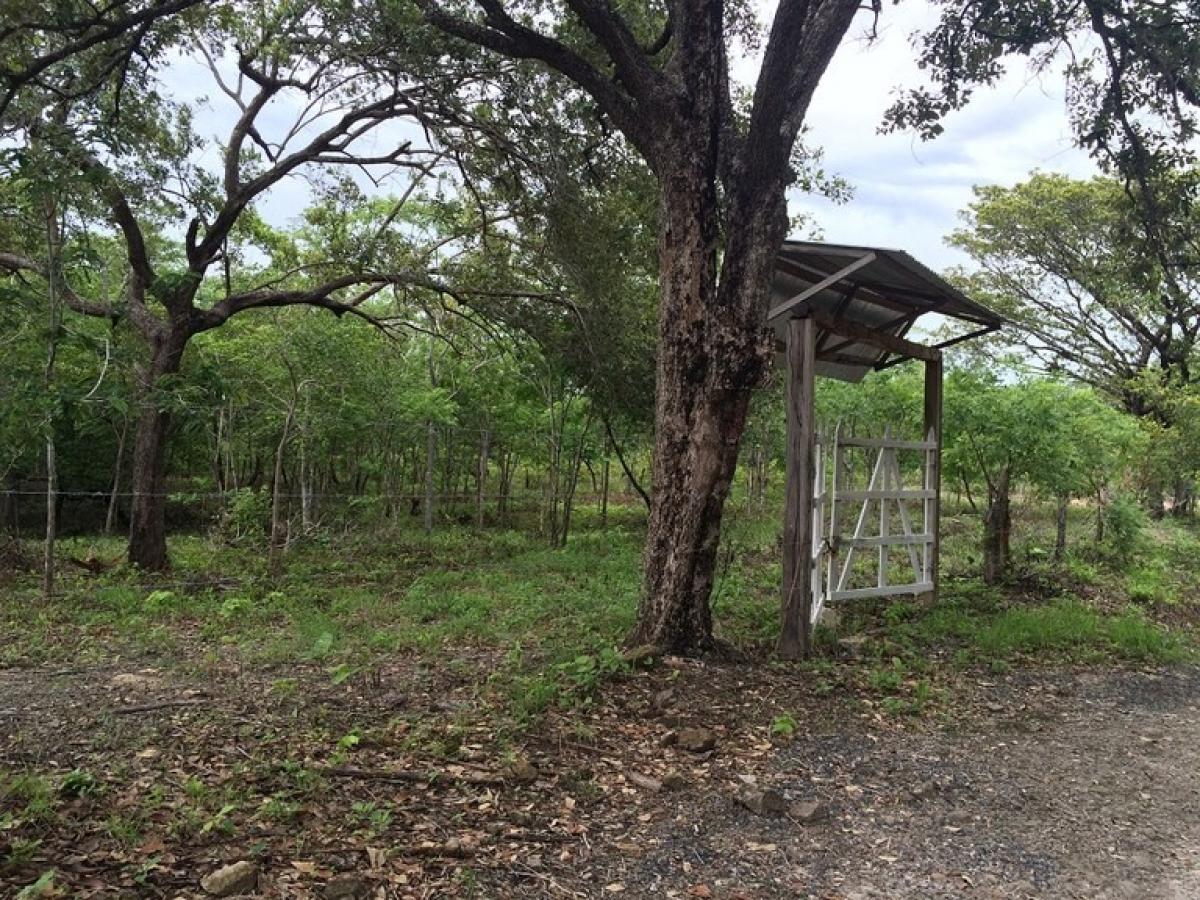 Picture of Residential Land For Sale in Bagaces, Guanacaste, Costa Rica