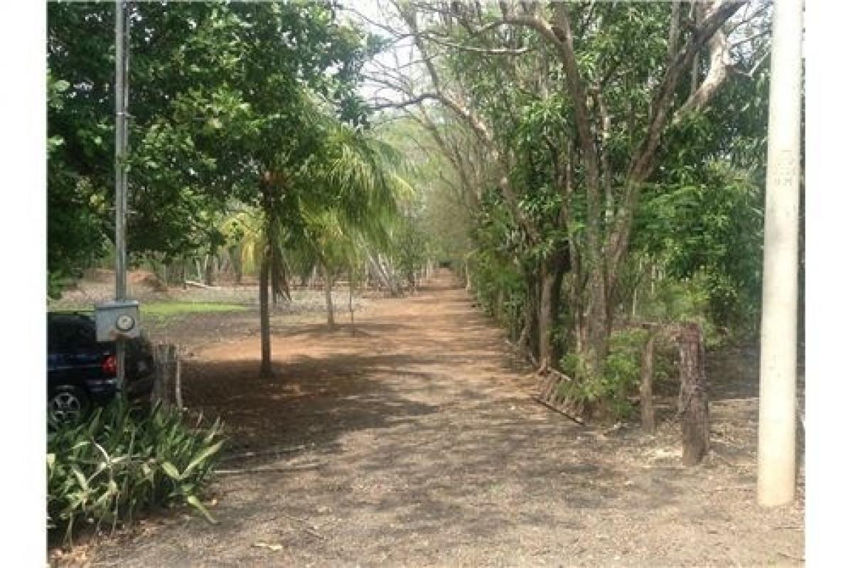 Picture of Residential Land For Sale in Liberia, Guanacaste, Costa Rica