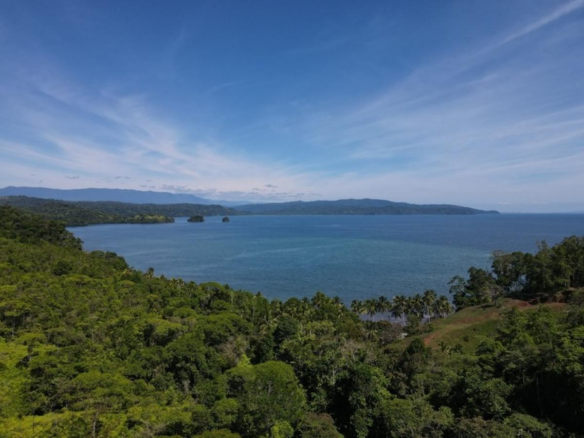 Picture of Residential Land For Sale in Osa, Puntarenas, Costa Rica