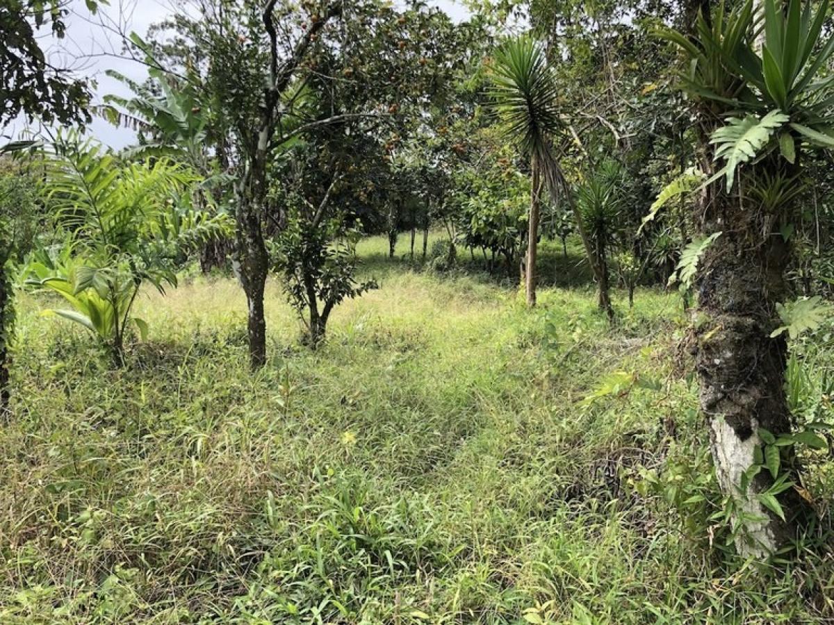 Picture of Residential Land For Sale in Siquirres, Limon, Costa Rica