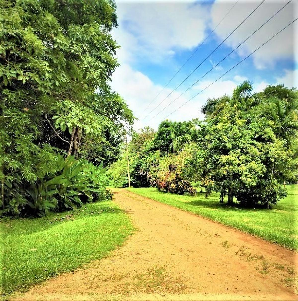 Picture of Residential Land For Sale in Alajuela, Alajuela, Costa Rica