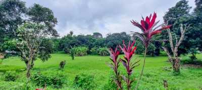 Residential Land For Sale in Garabito, Costa Rica