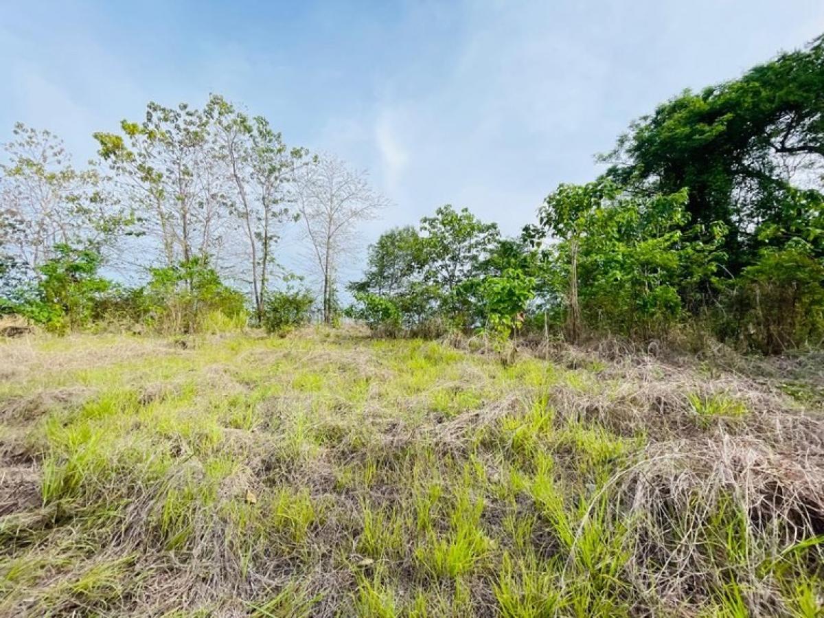 Picture of Residential Land For Sale in Nandayure, Guanacaste, Costa Rica