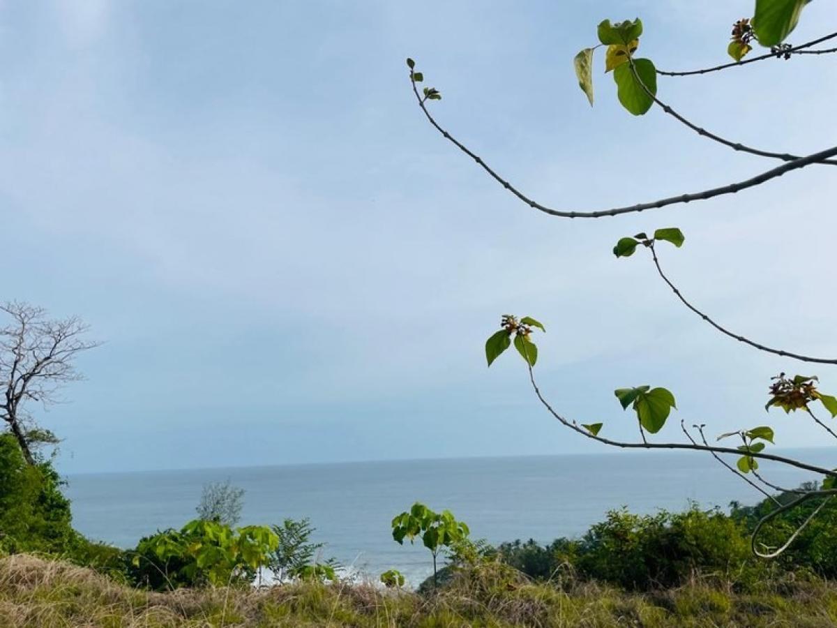 Picture of Residential Land For Sale in Nandayure, Guanacaste, Costa Rica