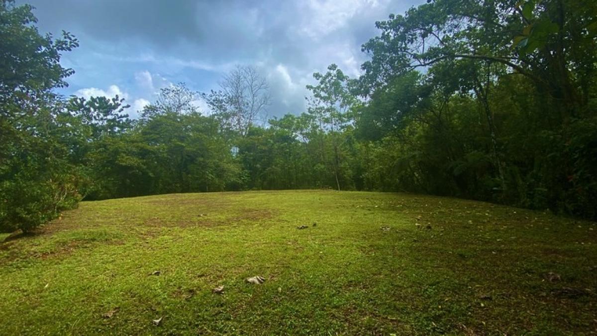 Picture of Residential Land For Sale in Osa, Puntarenas, Costa Rica