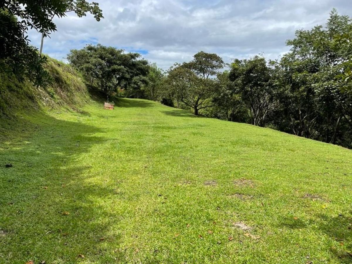 Picture of Residential Land For Sale in Alajuela, Alajuela, Costa Rica