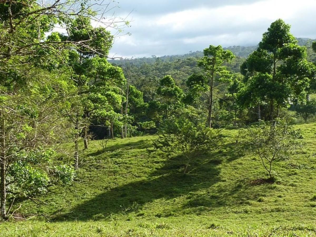 Picture of Residential Land For Sale in Upala, Alajuela, Costa Rica