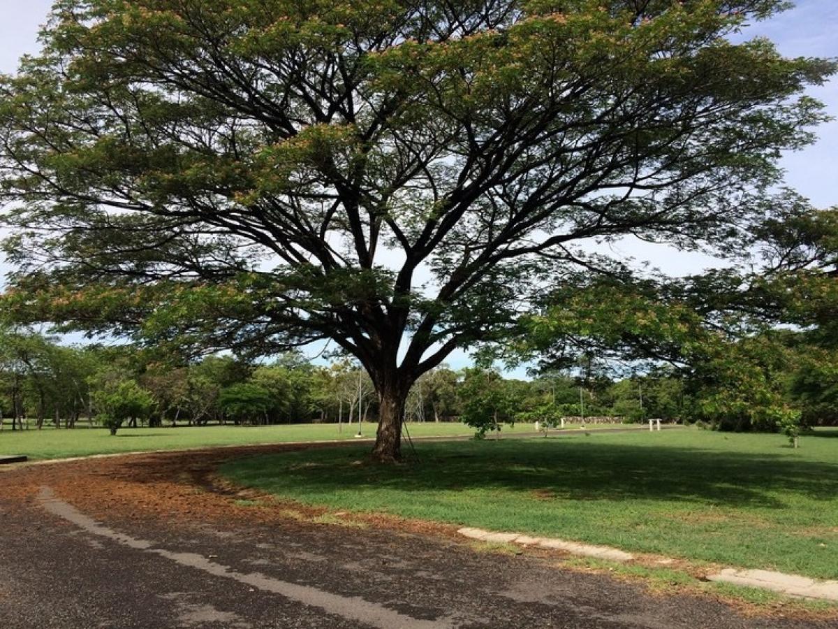 Picture of Residential Land For Sale in Liberia, Guanacaste, Costa Rica